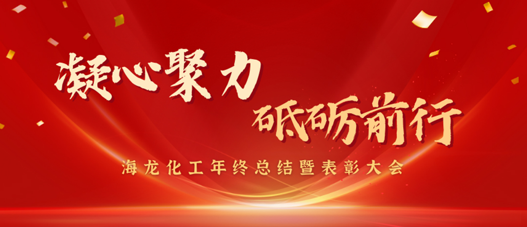 表彰 | 凝心聚力，砥礪前行，海龍化工年終總結暨表彰大會圓滿舉行